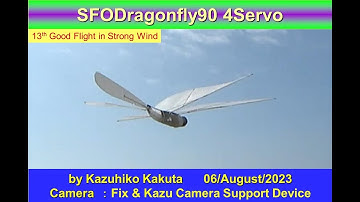 サーボ駆動トンボ型羽ばたき機　4サーボ　SFODragonfly90 4servo :13th Good Flight in Strong Wind (5-6 meter / sec)