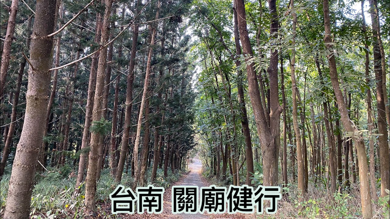 台南關廟健行 千佛山 三元帥 可果美桃花心木林 關服務區 關廟森林公園 獅頭山福德祠 關廟山 黑森林 清水宮 龍崎吊橋 千佛山 大潭埤旺萊公園
