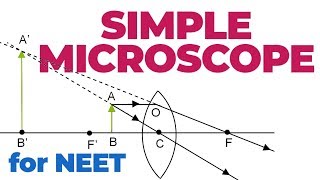Simple Microscope
