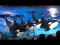 Light Up the Night Full Show - SeaWorld Orlando August 2014