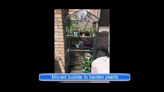 Mini Greenhouse $10