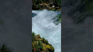 Beautiful Mountain River Flowing Sounds riversounds natureshorts naturesounds relaxingsounds