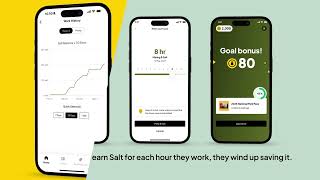 Salt Explainer Video