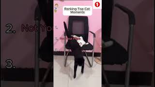 They definitely talking trash #funny #pets #viral