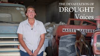 The Devastation of Drought - Voices