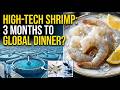 From Lab to Plate: Mass Production Marvels of Export Shrimp