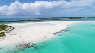 Double Breasted, Bahamas