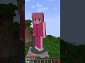 みんなはどっちを選ぶ?👱♀️👱♂️【 マイクラ / Minecraft 】#shorts