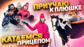 VLOG Oбучение жеребенка | Катаемся НА ПЛЮШКЕ за машиной