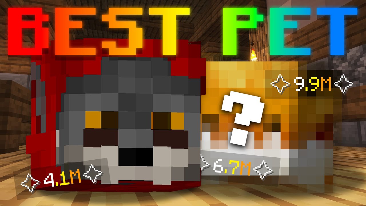 How to Get The BEST PET in Hypixel Skyblock