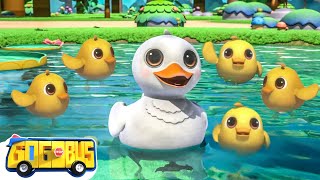 Cinco Patinhos 🐥| Rimas e Músicas Infantis | GoGoBus Português