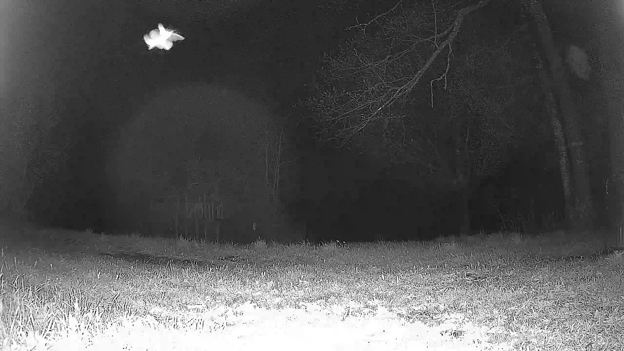 Speed Camera Flying Rods ROD APPROACHES FLIES OVER AND AWAY FROM CAMERA 1/10 SPEED skyfish or ...