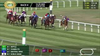 Vidéo de la course PMU RACE 4