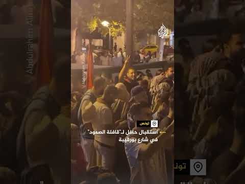 شاهد | استقبال حافل لـ"قافلة الصمود" في شارع بورقيبة