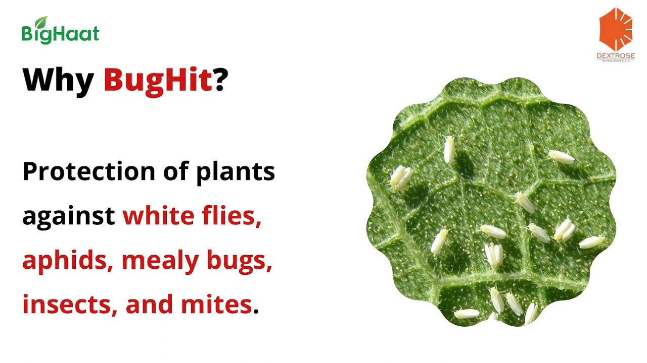 HERBAL SOLUTION FOR PESTS AND DISEASES - DEXTROSE