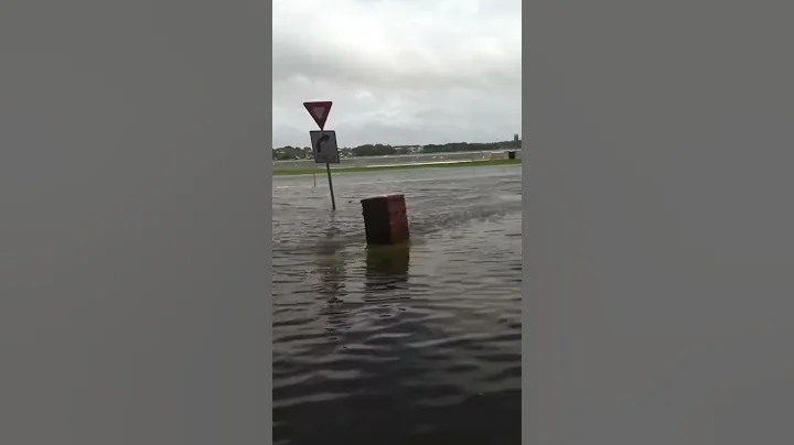 Tropical storm Debby flooding in Tampa, Fl 2