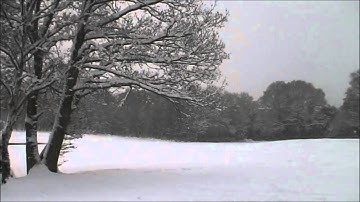 Snowy Ashdown Forest
