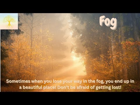 Find Inner Peace with Relaxing Music : Fog (雾)