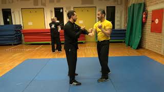 Wing Chun Silat with Nicolas on 20 01 2020