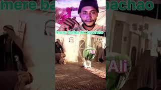 Taboot Imam Ali a.s Lucknow | 21 ramzan 2025 | 21 ramzan ka taboot #imamali #yaali #21ramzan