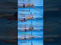 Perfect Freestyle catch 💨 #swimming #pool #coaching #glide #swim #pulling