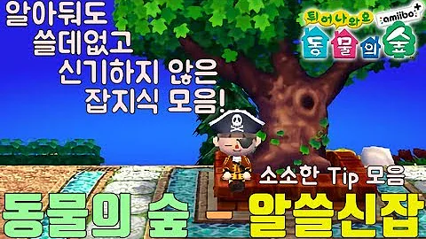 튀동숲 공략 튀동숲 공략
