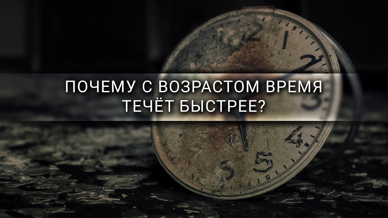 Почему с возрастом время течёт быстрее? [Veritasium]