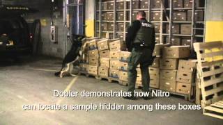 St. Clair County Sheriff Department canine officer and Nitro