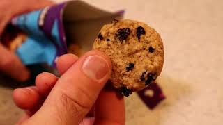 Mr. Beast Feastables Oatmeal Raisin Cookies Taste Test Review