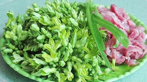 Tin Nhanh - Công dụng chữa bệnh tuyệt vời của hoa thiên lý