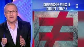 Connaissez-vous FAUVE ≠ ? - L'Emission pour Tous - 31-01-2014 - #EPTS