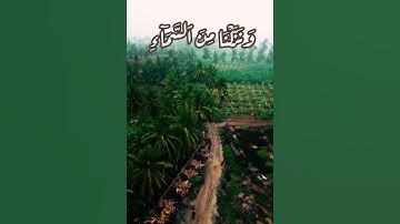 ونزلنا من السماء ماء مباركا، سورة ق، الشيخ عبدالله الجهني، قرآن ٣٠ ثانية