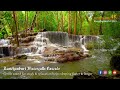 Kanchanaburi Waterfall Cascade Gentle Stream Sound Flowing Water White Noise for Deep Sleep 4K 8Hrs