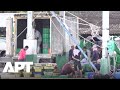 “We Never Go Out, We Are Afraid” — Cambodian Workers Trapped in Thailand | APT