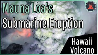 The Recent Submarine Volcanic Eruption of Mauna Loa