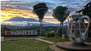 TEMPAT MENARIK DI SABAH - SABAH TEA GARDEN 2022