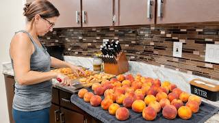 Harvesting This Years Peaches and Preserve Them for Years to Come