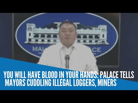 Palace to mayors coddling illegal loggers, miners: You will have blood in your hands