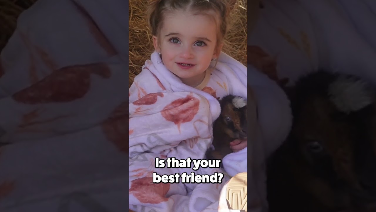 Taking Our Toddler To The Farm!