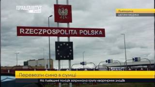 Перевезти сина в сумці. ПравдаТУТ Львів