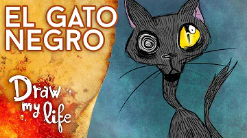 ¿El gato negro es chico o chica?