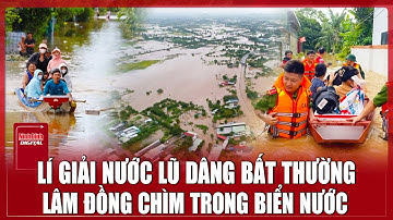 Trưa 6/12: ‘Vạch rõ’ nguyên nhân khiến Lâm Đồng liên tiếp hứng 2 đợt ngập lụt lớn| Ninh Bình Digital