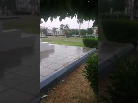 خميس المشيط