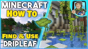 How to FIND and USE a DRIPLEAF - Minecraft 1.17+ (Easy Tutorial)