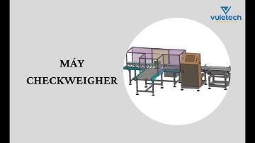 Giải pháp cân băng tải | Checkweigher System | VULETECH