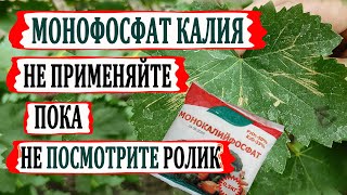 видео: 🍇Не применяйте МОНОФОСФАТ КАЛИЯ на винограде пока не посмотрите этот ролик/Как МФК искореняет милдью картинка: 🍇Не применяйте МОНОФОСФАТ КАЛИЯ на винограде пока не посмотрите этот ролик/Как МФК искореняет милдью