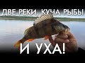 ДВЕ РЕКИ, КУЧА РЫБЫ И УХА!