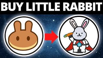 How To Buy Little Rabbit Crypto Token On PancakeSwap (LTRBT Coin)