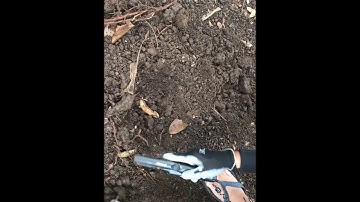 Treasure Hunting|Metal Detecting at Davao City,Philippines