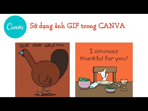 CANVA: Sử dụng và Tải ảnh GIF trong CANVA